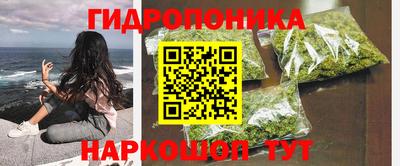 прущая мука Шахты
